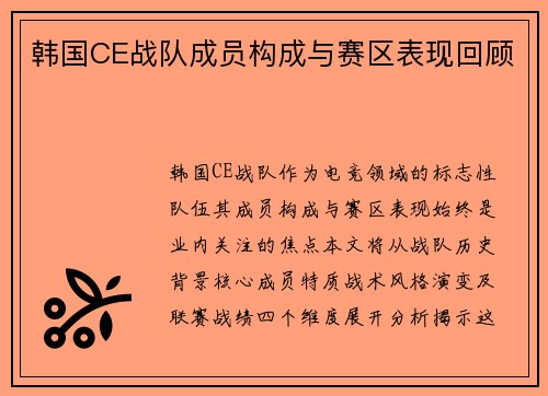 韩国CE战队成员构成与赛区表现回顾